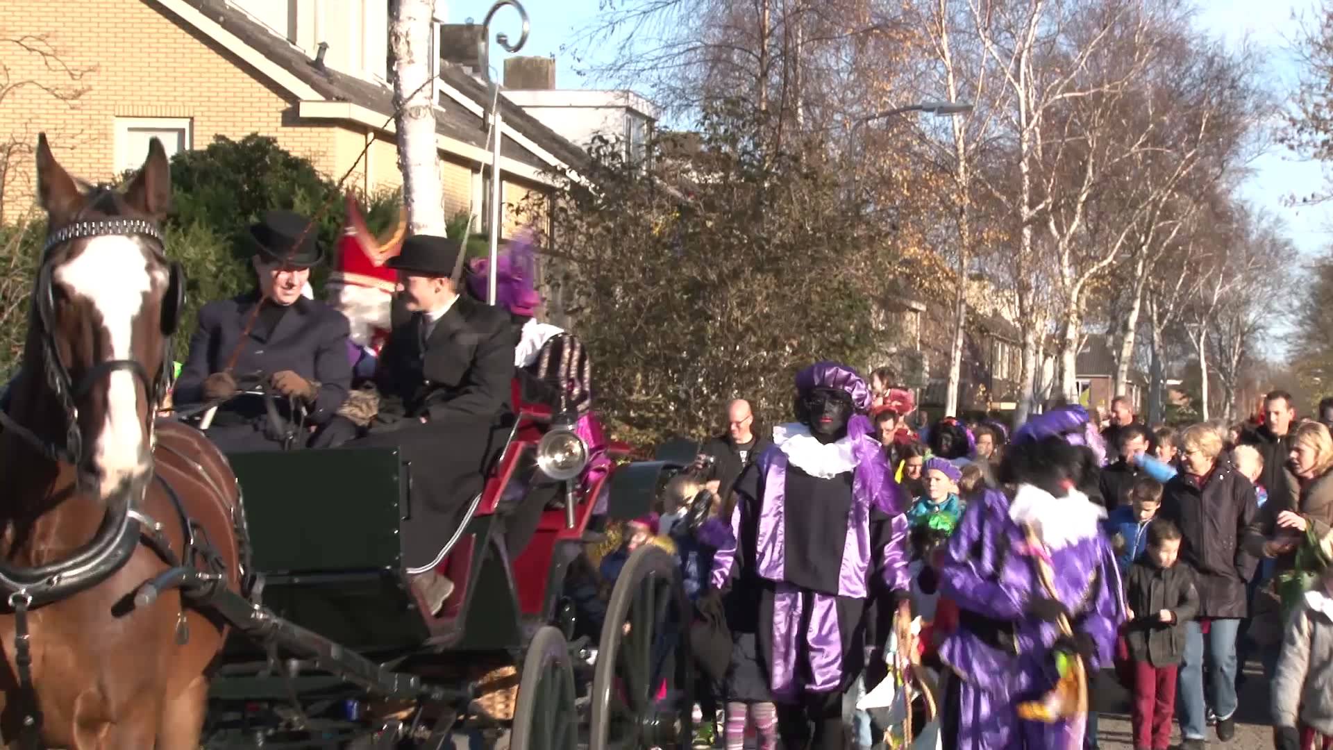 Intocht van Sinterklaas in Zwaag