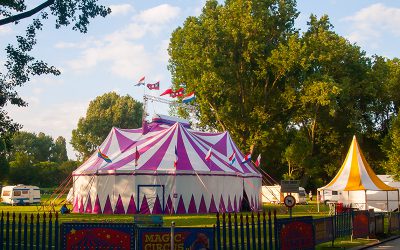 Magic Circus in Zwaag