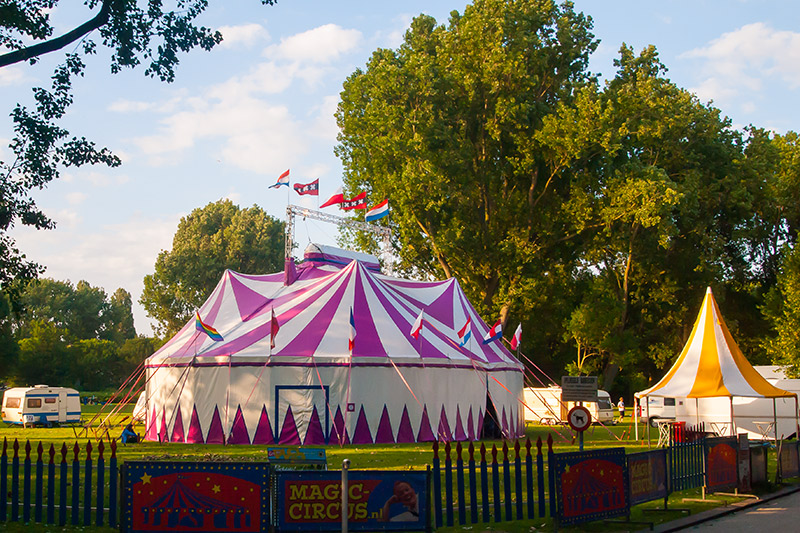 Magic Circus in Zwaag