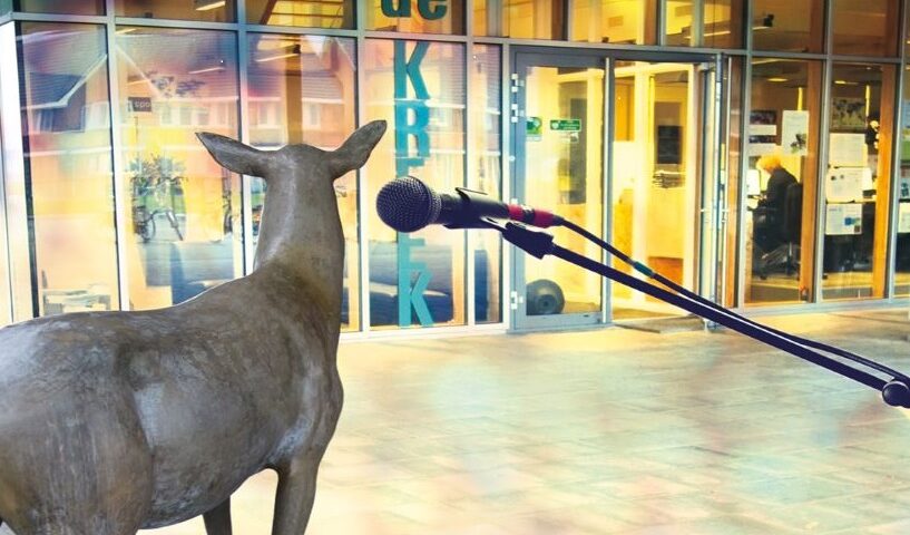 Muziekspektakel Bangert en Oosterpolder